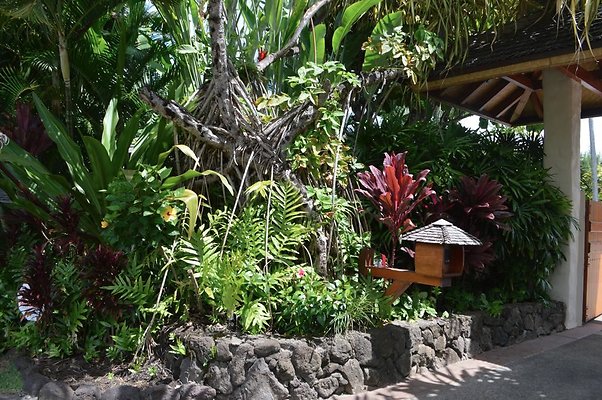 th DSC 0048 th DSC 0048