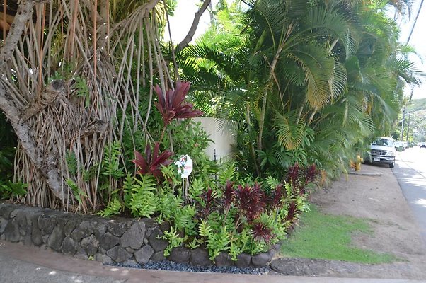 th DSC 0050 th DSC 0050