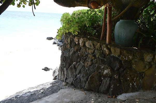 th DSC 0074 th DSC 0074