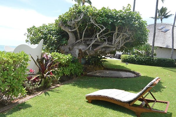 th DSC 0080 th DSC 0080