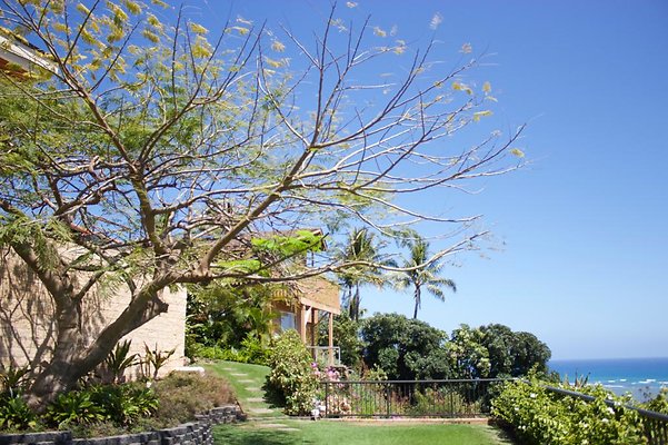 th IMG 0868 th IMG 0868