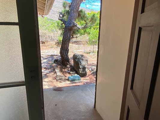 th IMG 0213 th IMG 0213