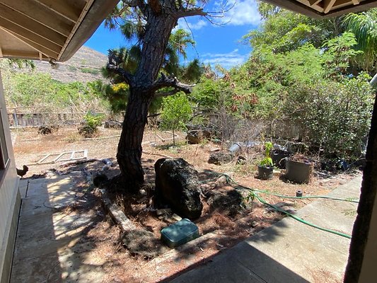 th IMG 0208 th IMG 0208