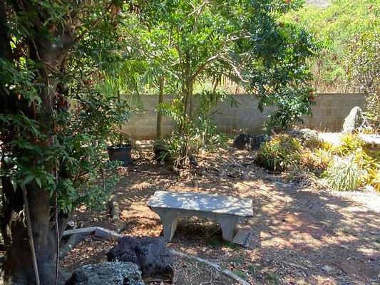 th IMG 0227 th IMG 0227