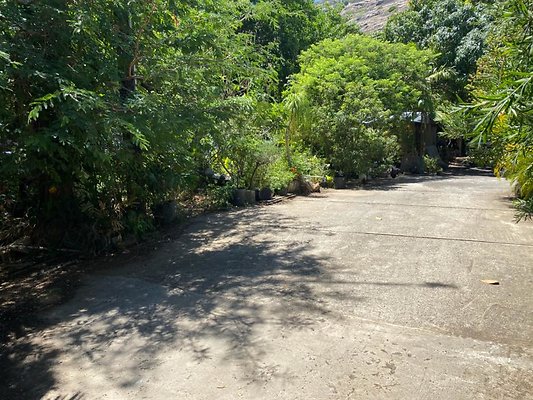 th IMG 0206 th IMG 0206