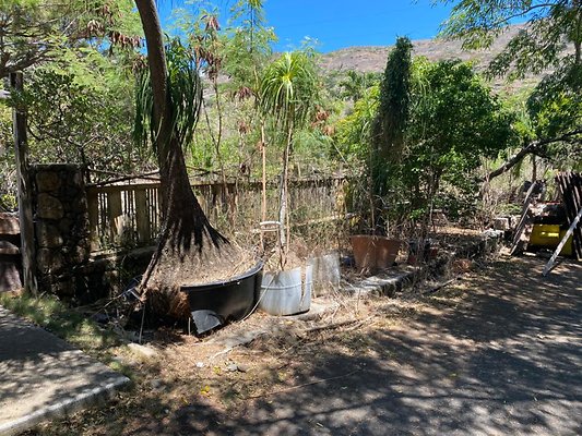 th IMG 0203 th IMG 0203