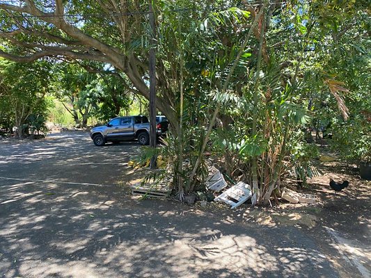 th IMG 0205 th IMG 0205