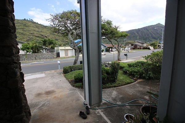 th IMG 2093 th IMG 2093