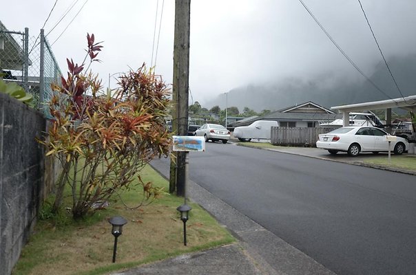 th DSC1174 th DSC1174