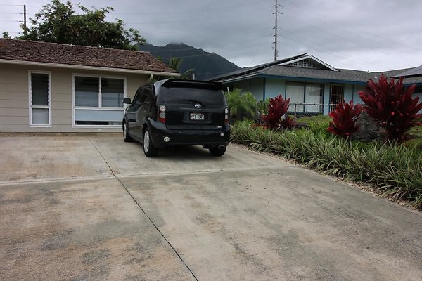 th IMG 0016 th IMG 0016