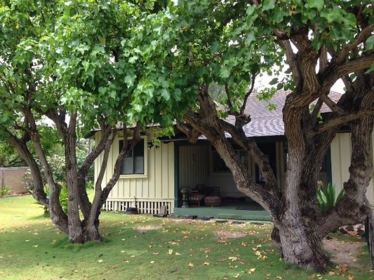 th KAILUA MWALKERHOME 3 th KAILUA MWALKERHOME 3