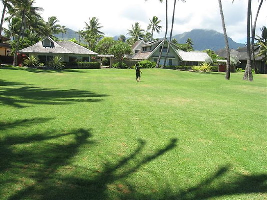 Kailua No Address & No Contact Kailua No Address & No Contact