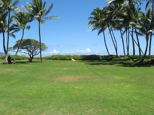 Leary Kailua 8-10 012