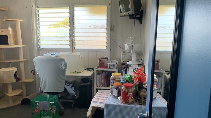 th IMG 6982 th IMG 6982