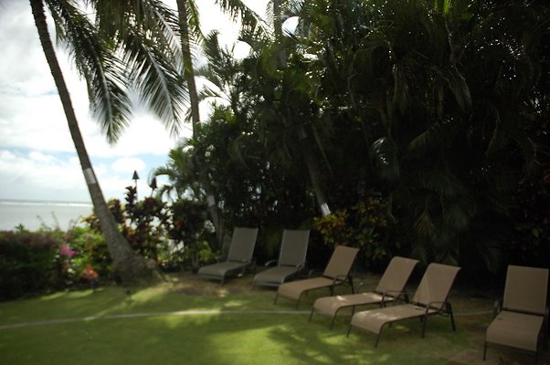 39-HI50 S5 5505KalanianaoleHwyKI1 DSC 4005 39-HI50 S5 5505KalanianaoleHwyKI1 DSC 4005