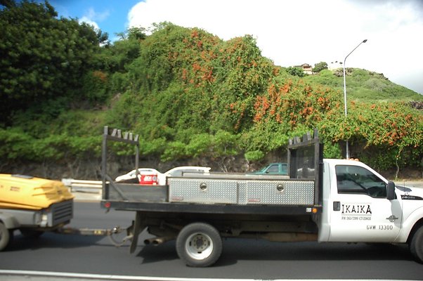 5-HI50 S5 5505KalanianaoleHwyKI1 DSC 3952 5-HI50 S5 5505KalanianaoleHwyKI1 DSC 3952