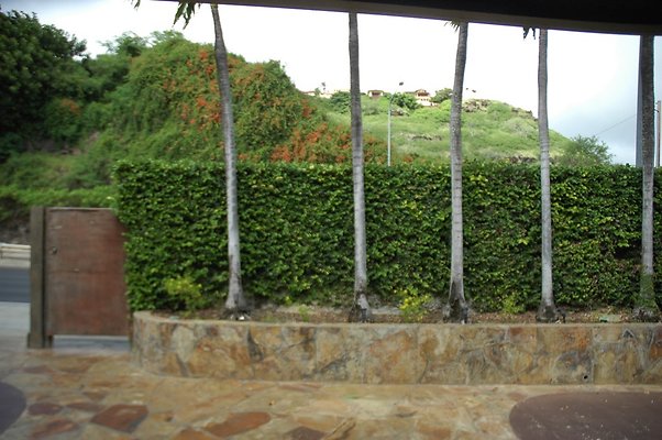 11-HI50 S5 5505KalanianaoleHwyKI1 DSC 3960 11-HI50 S5 5505KalanianaoleHwyKI1 DSC 3960