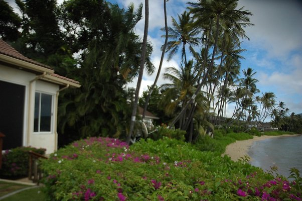 45-HI50 S5 5505KalanianaoleHwyKI1 DSC 4012 45-HI50 S5 5505KalanianaoleHwyKI1 DSC 4012