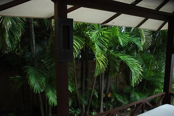 52-HI50 S5 5505KalanianaoleHwyKI1 DSC 4030 52-HI50 S5 5505KalanianaoleHwyKI1 DSC 4030