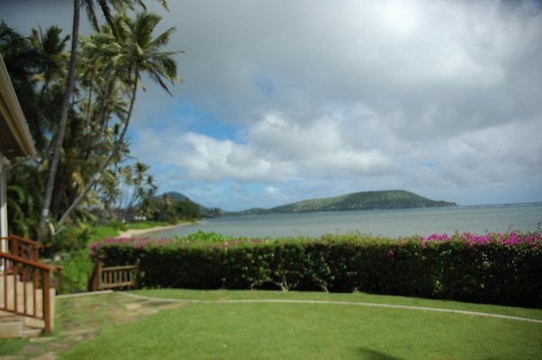 37-HI50 S5 5505KalanianaoleHwyKI1 DSC 4003 37-HI50 S5 5505KalanianaoleHwyKI1 DSC 4003