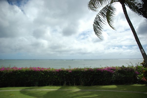 38-HI50 S5 5505KalanianaoleHwyKI1 DSC 4004 38-HI50 S5 5505KalanianaoleHwyKI1 DSC 4004