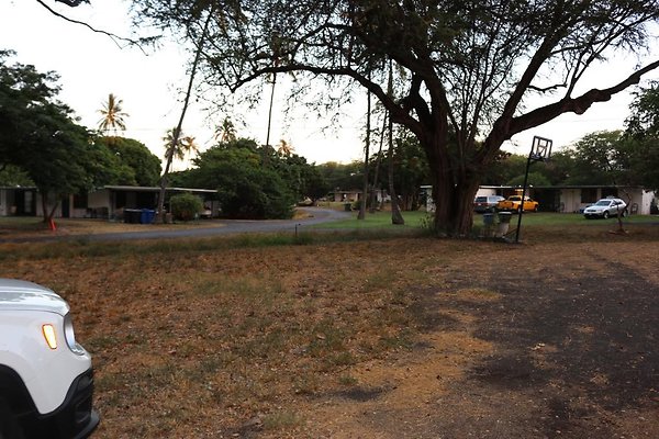 th IMG 0110 th IMG 0110