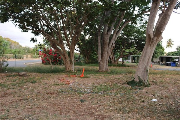 th IMG 0109 th IMG 0109