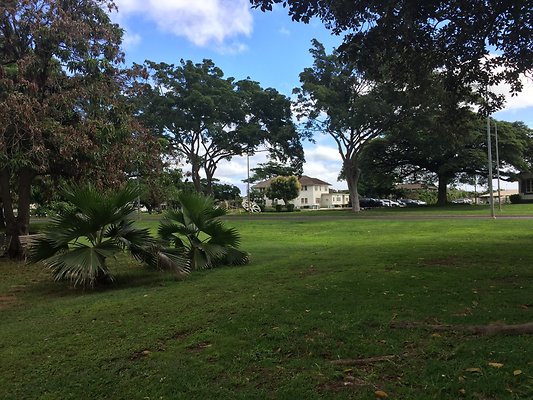 HI50 S6 2015-12-09 12.14.07 HI50 S6 2015-12-09 12.14.07