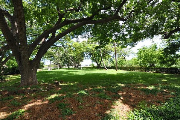 th DSC 0043 th DSC 0043