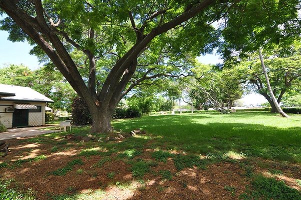 th DSC 0042 th DSC 0042