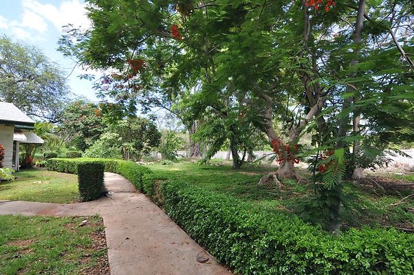 th DSC 0035 th DSC 0035