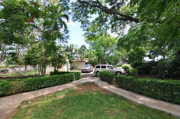 th DSC 0037 th DSC 0037