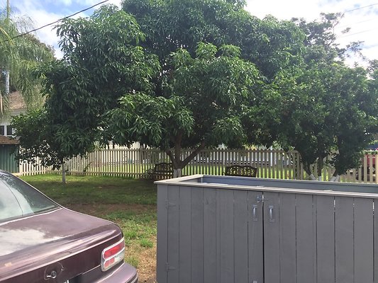 HI50 S6 2015-12-09 11.16.42