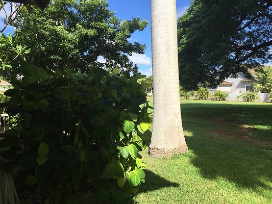 HI50 S6 2015-12-09 11.00.59