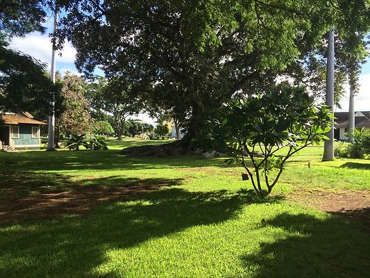 HI50 S6 2015-12-09 11.01.10