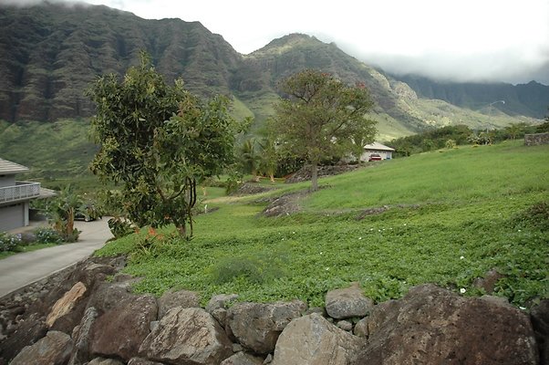 th DSC 4341 th DSC 4341