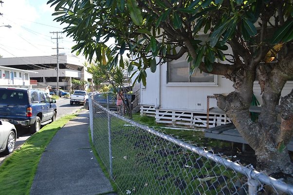 th DSC 0513 th DSC 0513