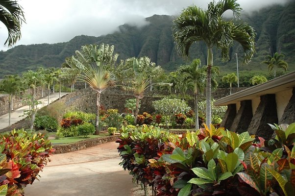 th DSC 4428 th DSC 4428