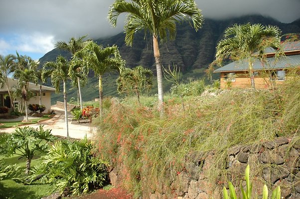 th DSC 4423 th DSC 4423