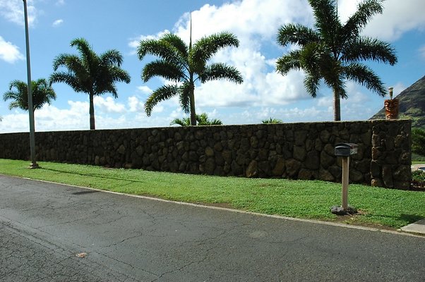 th DSC 4507 th DSC 4507