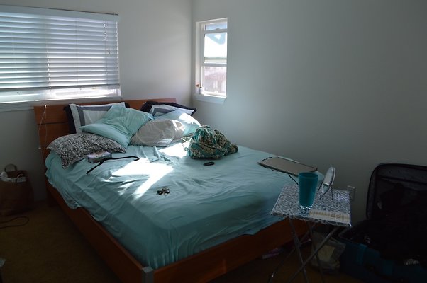 th DSC 0264 th DSC 0264