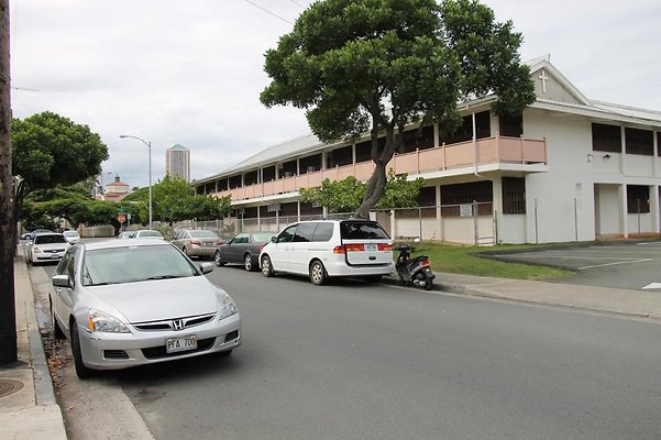 hi50 IMG 0800 hi50 IMG 0800