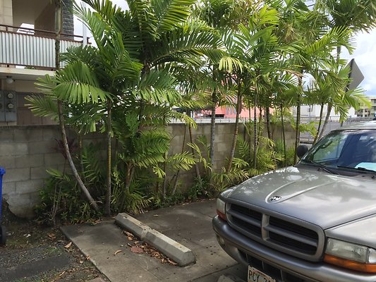 HI50 S6 2015-08-17 15.32.28