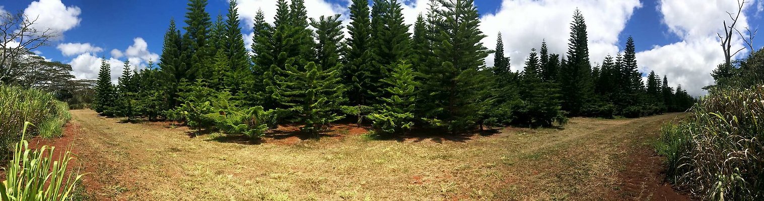 Helemano 3 Helemano 3