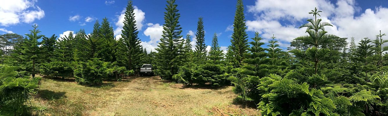 Helemano 1 Helemano 1