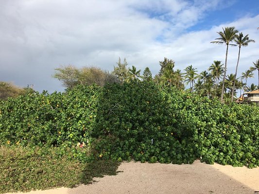 th IMG 1489 th IMG 1489