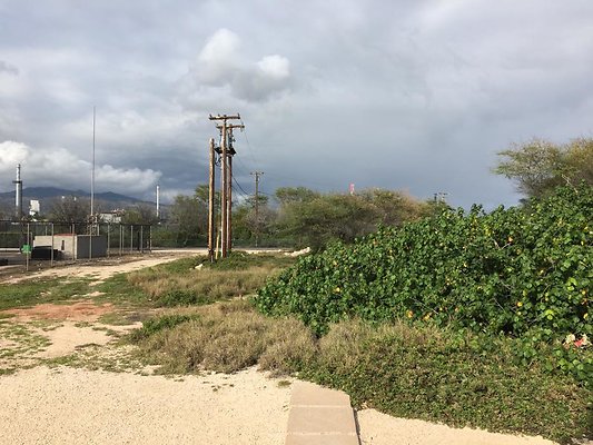 th IMG 1488 th IMG 1488