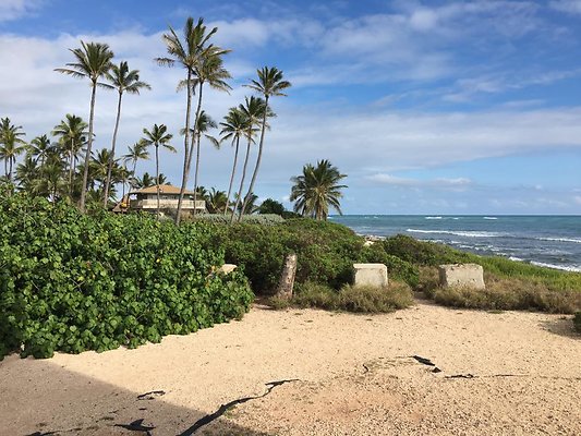 th IMG 1490 th IMG 1490