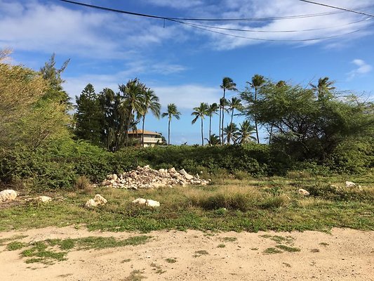 th IMG 1494 th IMG 1494