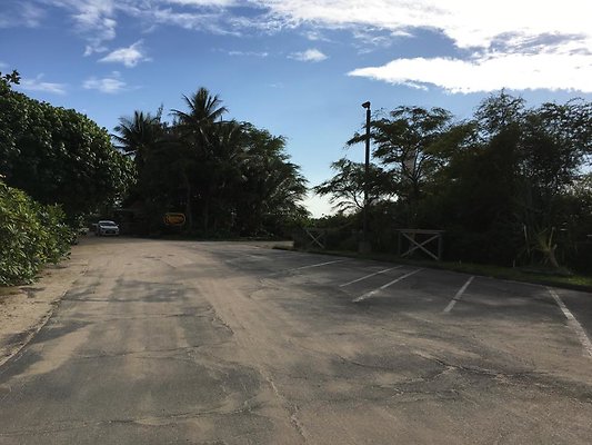 th IMG 1508 th IMG 1508